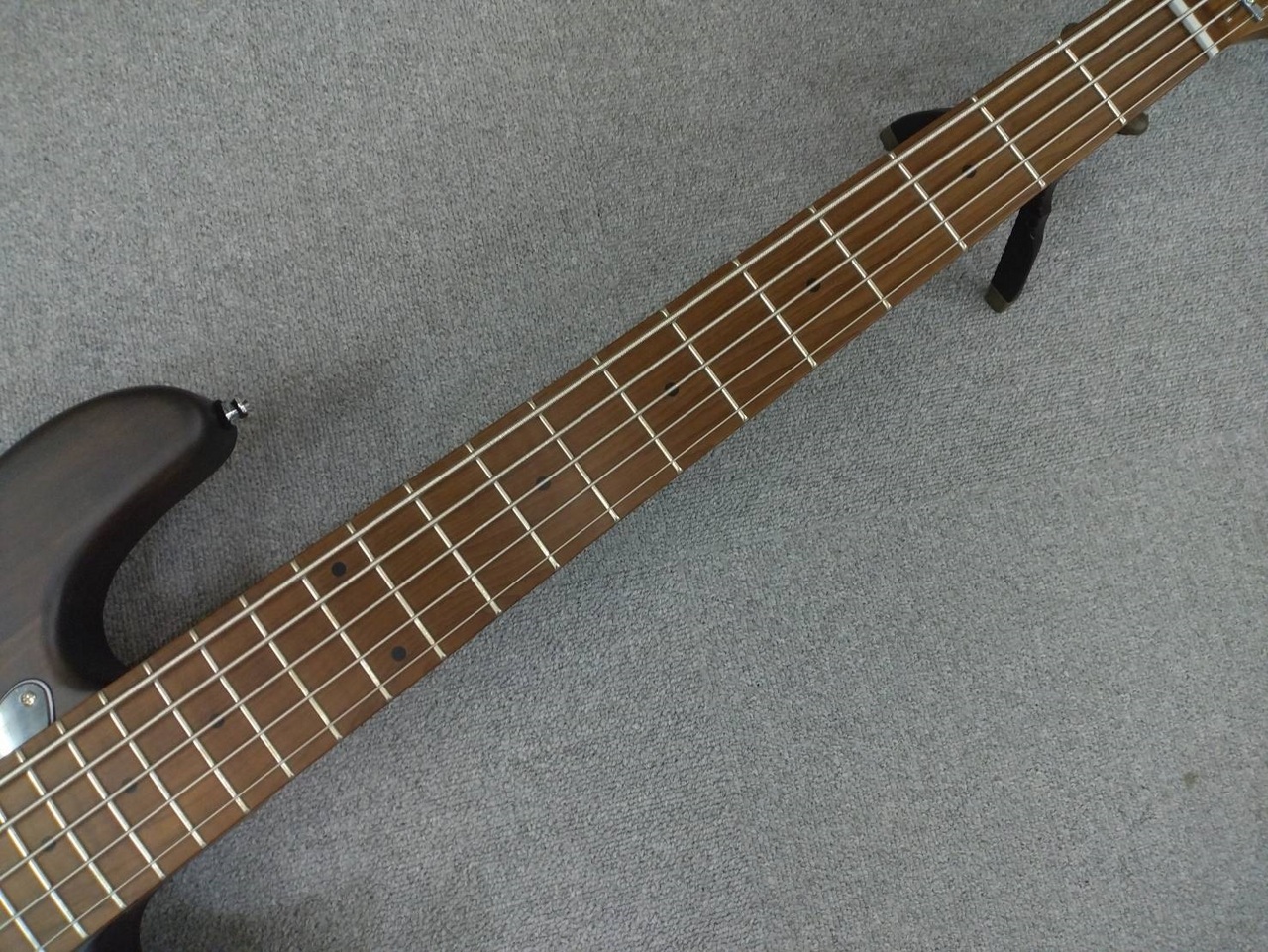 Bacchus handmade series ネックのみ Bacchus Handmade series CONTINENTAL AKAMATSU'25/R (BLK-Aged
