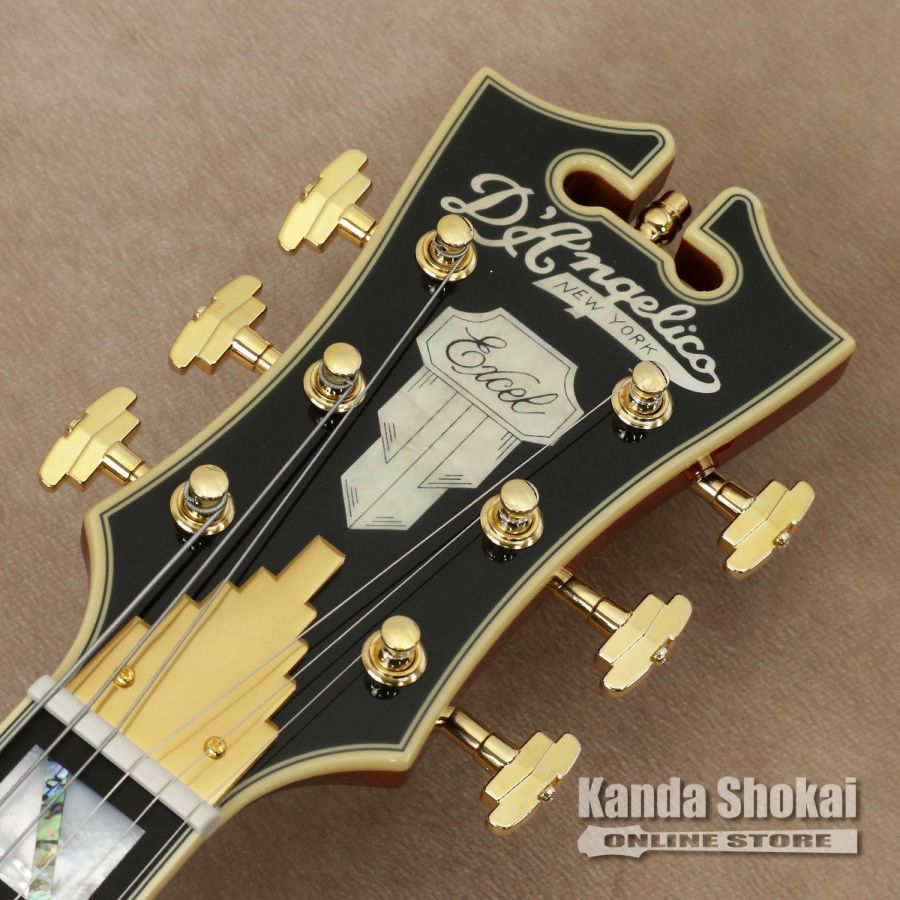 D'Angelico Excel 59 Viola[WEBSHOP在庫]（B級特価/送料無料）【楽器