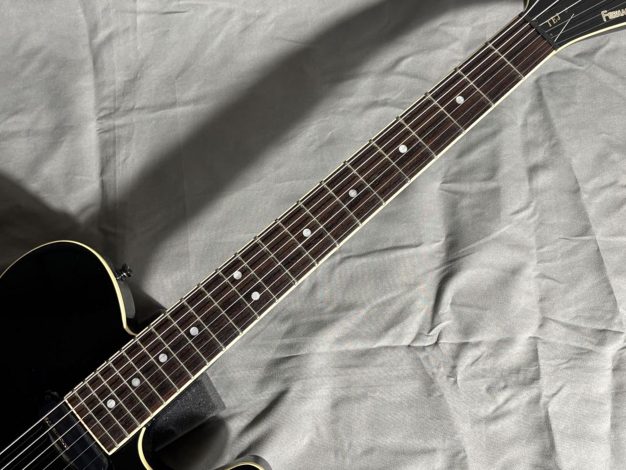 ギター FERNANDES TEJ-70 TEJ-70 Fernandes - ギター大図鑑 PoloPPo