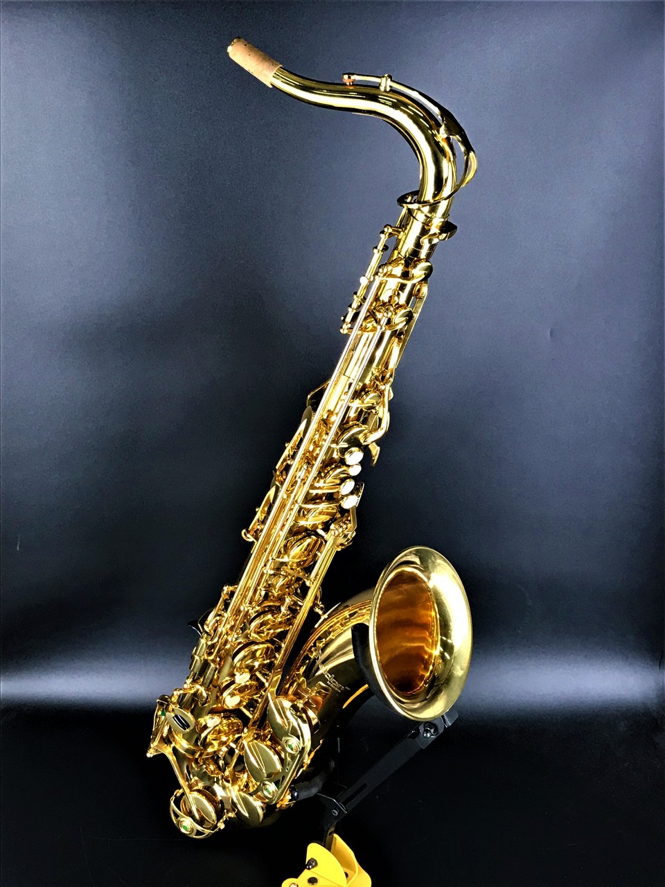 Antigua Eldon WETS-28-NJN（中古）【楽器検索デジマート】