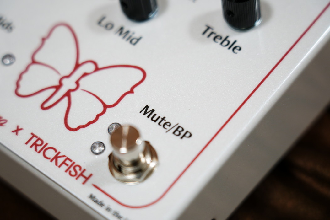 Fodera X Trickfish Preamp and Practice Amp（新品/送料無料）【楽器