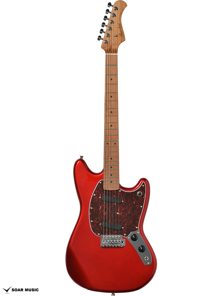 Bacchus バッカス BMS-1-RSM/M-TTPG CAR べっ甲柄ピックガード