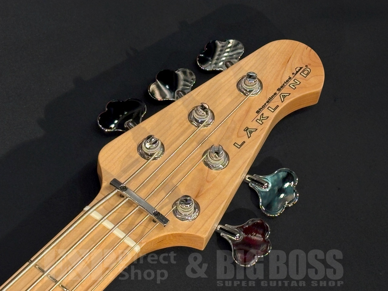 Lakland SL55-94 Deluxe Teal Green Sunburst / Maple FB（新品