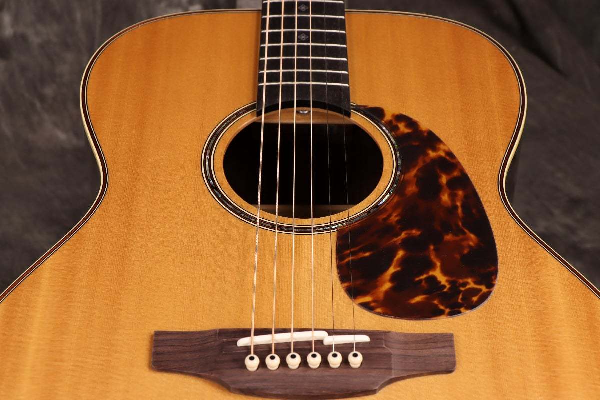 Takamine アコースティックギター ブラウン 6弦 タカミネ 700シリーズ DMP761C [N] (アコースティックギター