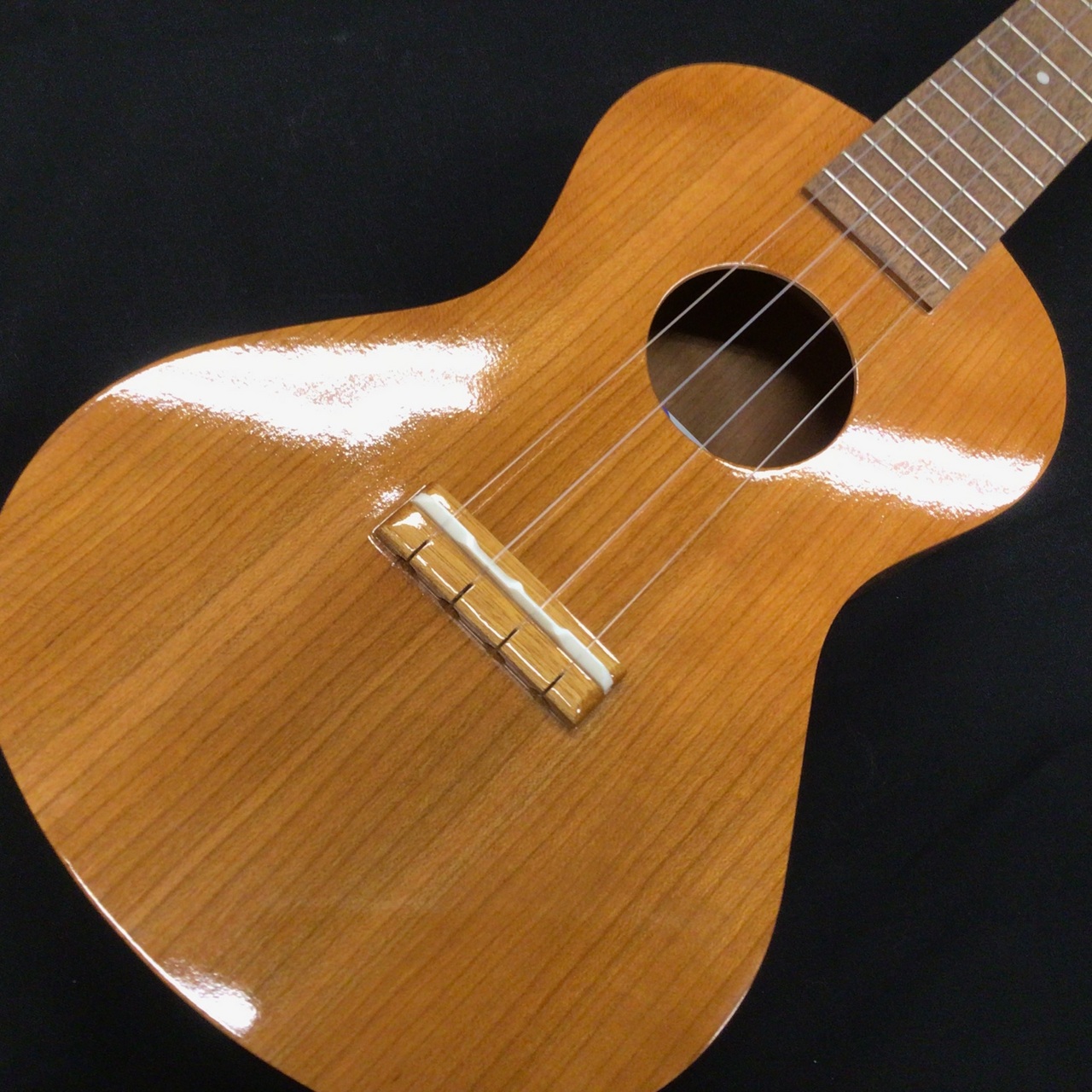 Famous FC-11G【コンサートサイズ】（新品/送料無料）【楽器検索