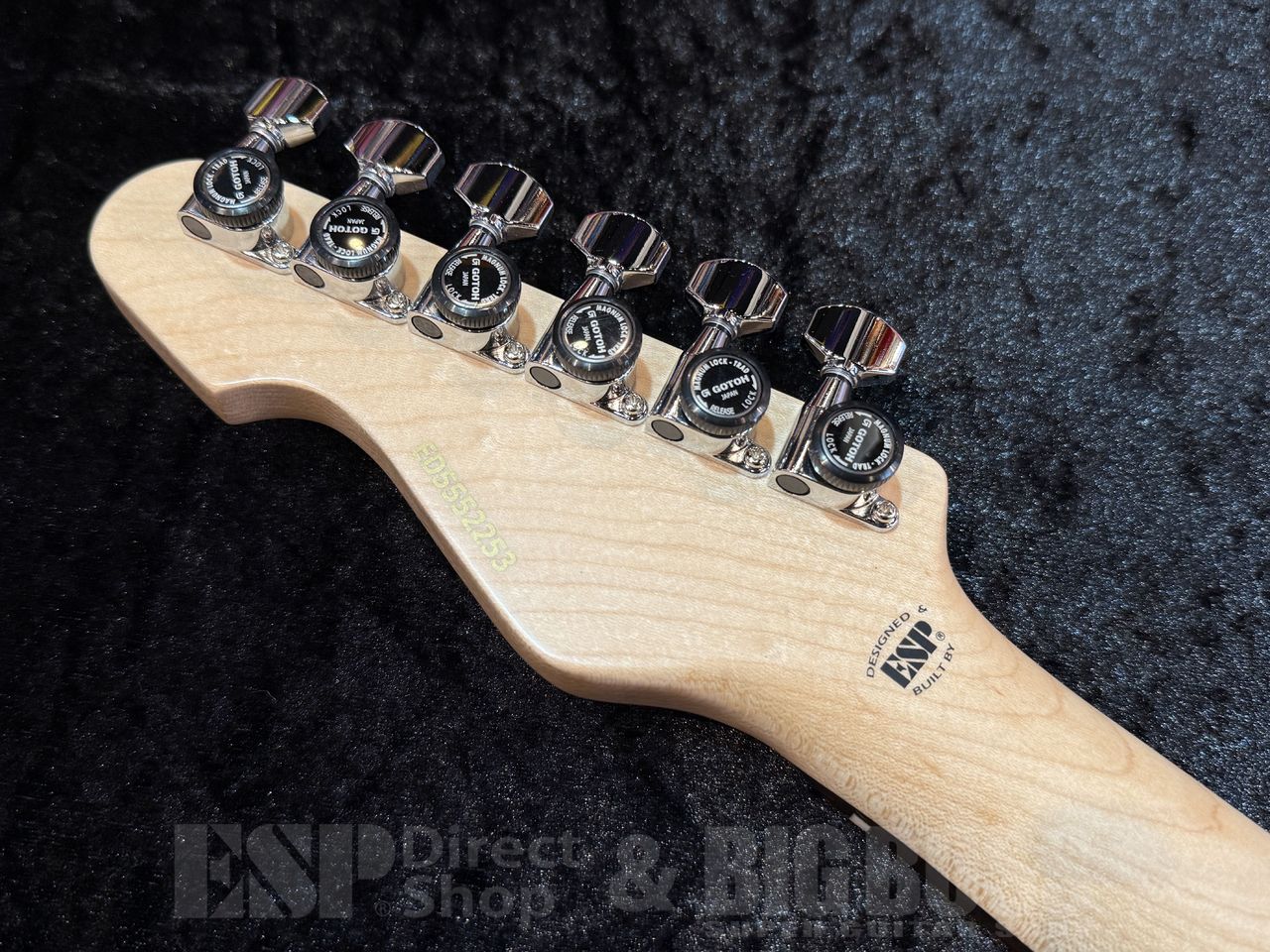 EDWARDS E-THROBBER-CTM【Black】（新品/送料無料）【楽器検索デジマート】