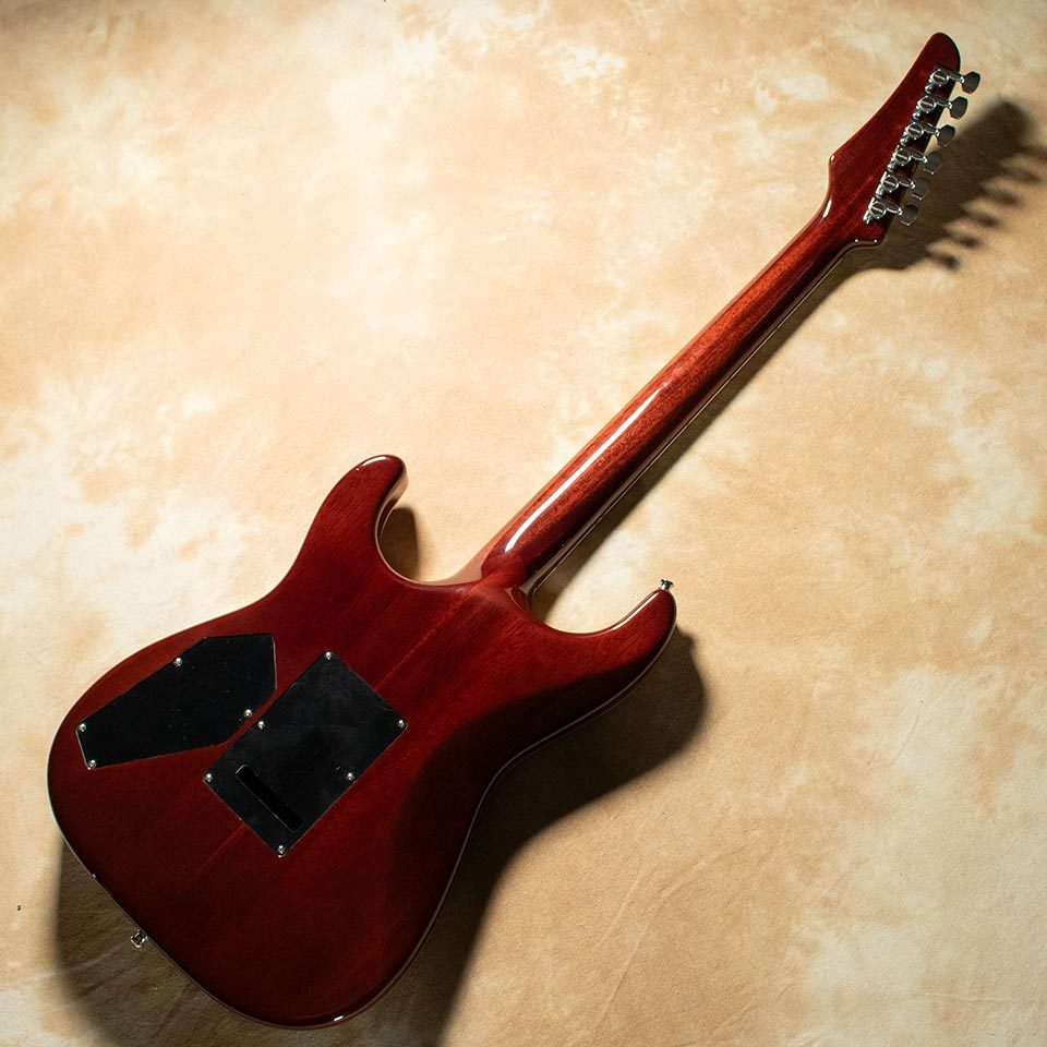 Combat ST-WARM Ice Tea Burst w/Curtis Novak（新品）【楽器検索