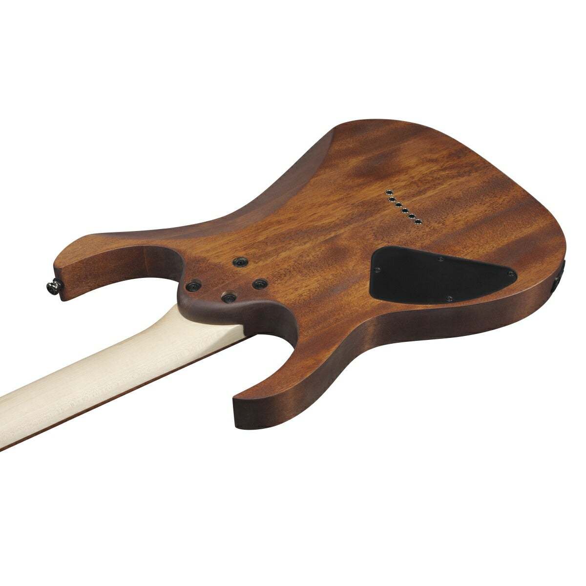 Ibanez RG421-MOL (Mahogany Oil) 【イシバシ楽器限定販売】 録音