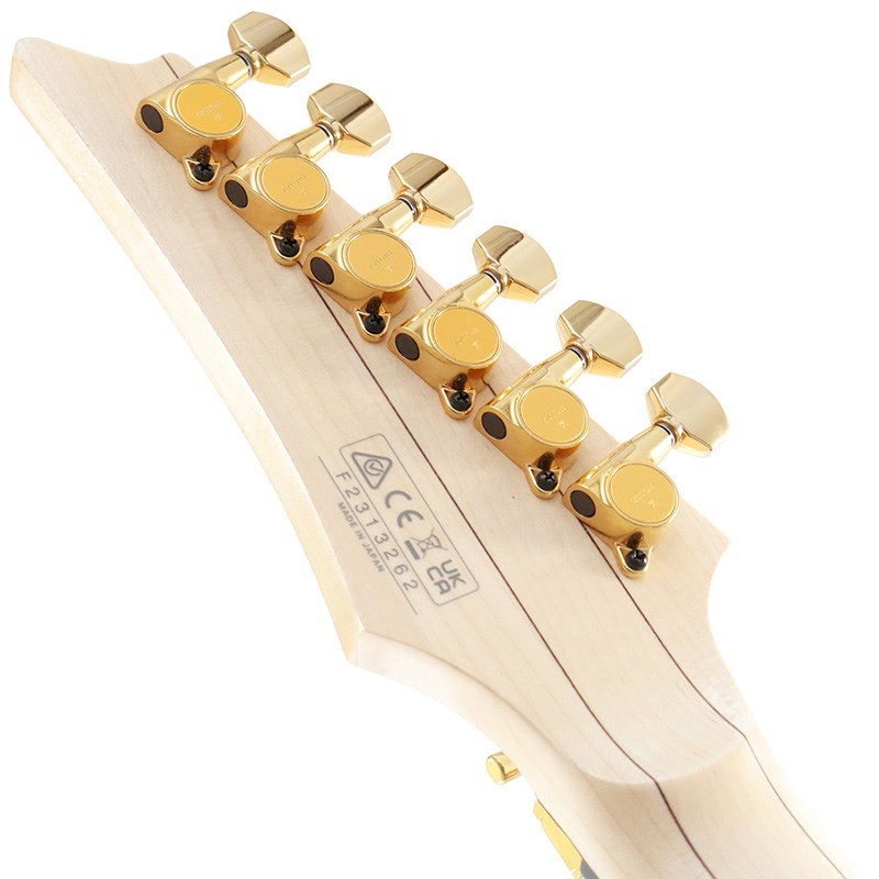 Ibanez Prestige Axe Design Lab RGA622XH-WH (White)（新品）【楽器
