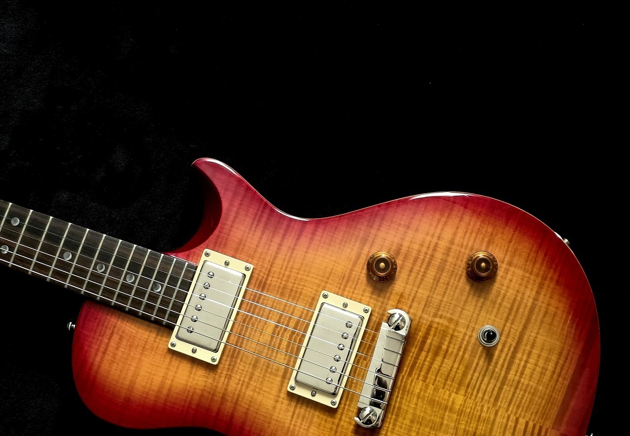 Paul Reed Smith(PRS) SE Singlecut 美品 Paul Reed Smith(PRS) SE Singlecut （中古）【楽器検索デジマート】