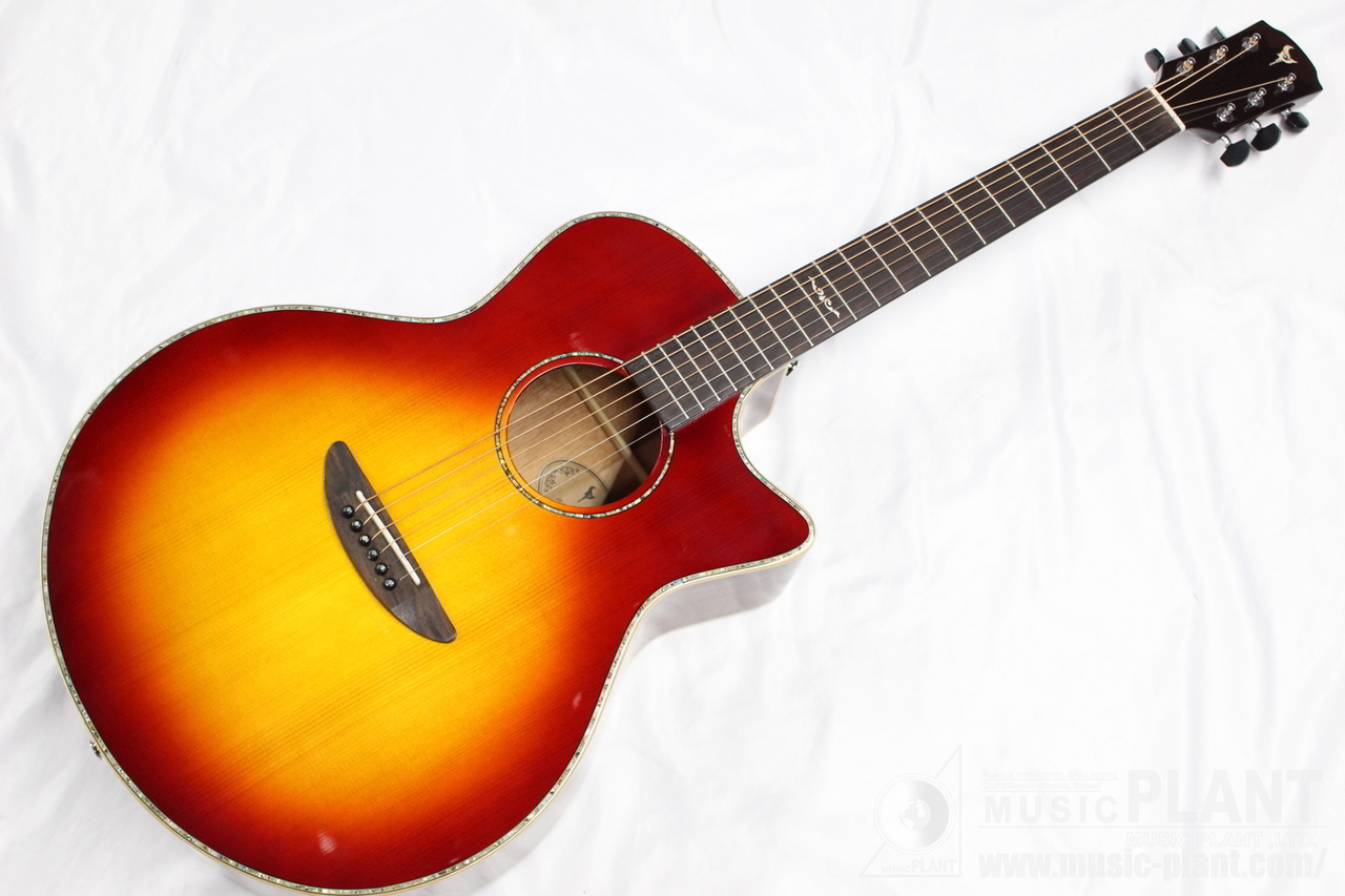 ☆6/12まで☆ Dream Comes True (DCT) G-311 CE エレクトリック