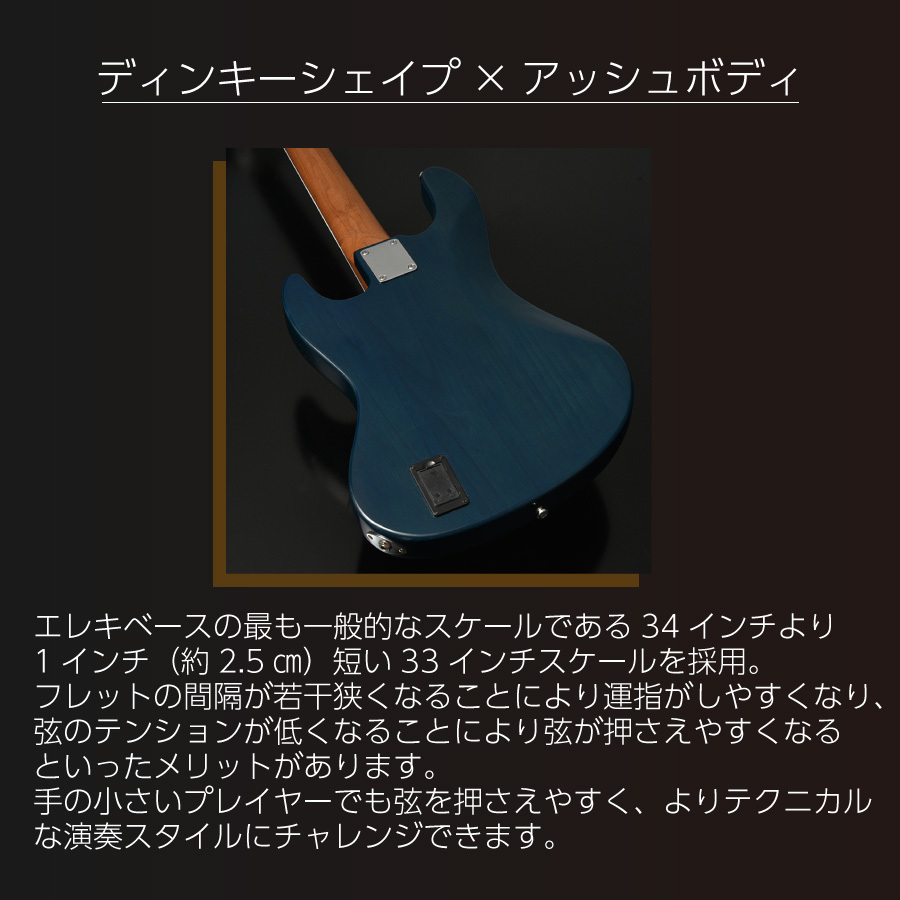 WL5-ASH33-AC RSM/M | Deviser ｜株式会社ディバイザー｜長野県