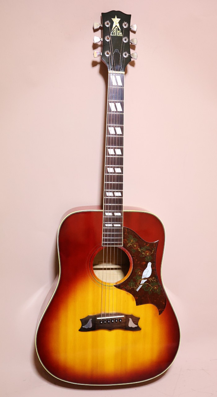 greco 303 DOVE グレコ フジゲン greco 303 DOVE グレコ フジゲン