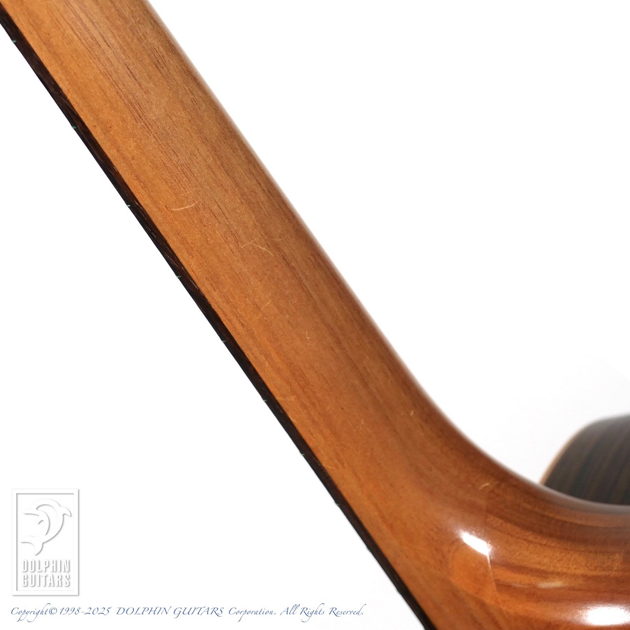 【最終値下げ】AN2AC-Custom COLE CLARK コールクラーク コールクラーク AN2AC GATORケース付き 調整済み 音出しOK 美品