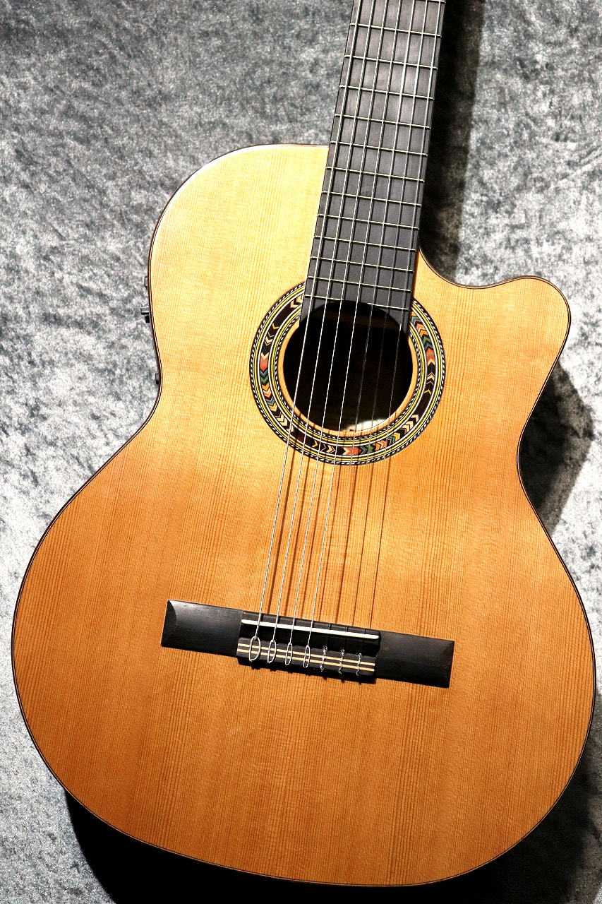 Orpheus Valley Guitars F65CW-7S【激エモ7弦エレガット】【現物写真】【池袋店在庫品】（新品）【楽器検索デジマート】