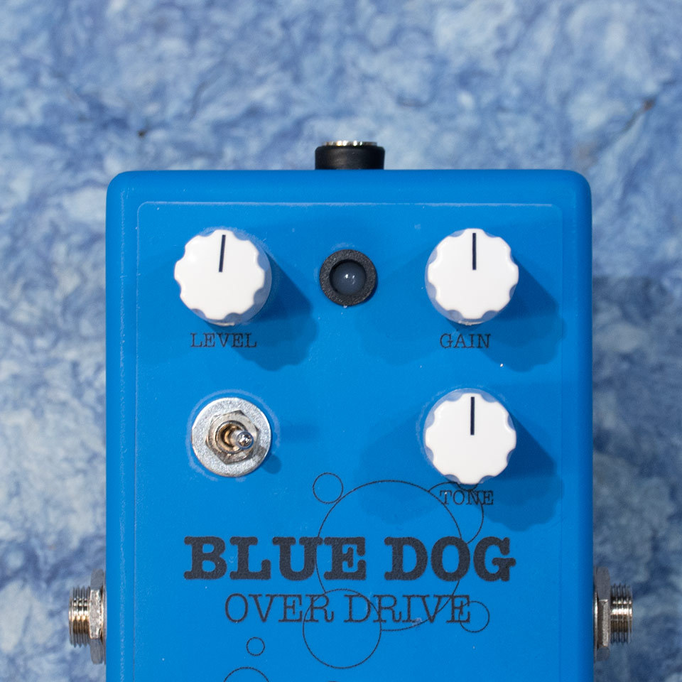 BLUE DOG ブルードッグ　サイン入り BLUE DOG ブルードッグ サイン入り