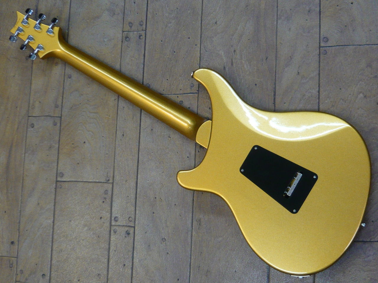 Paul Reed Smith(PRS) S2 VR Vela Vernon Reid Signature Model