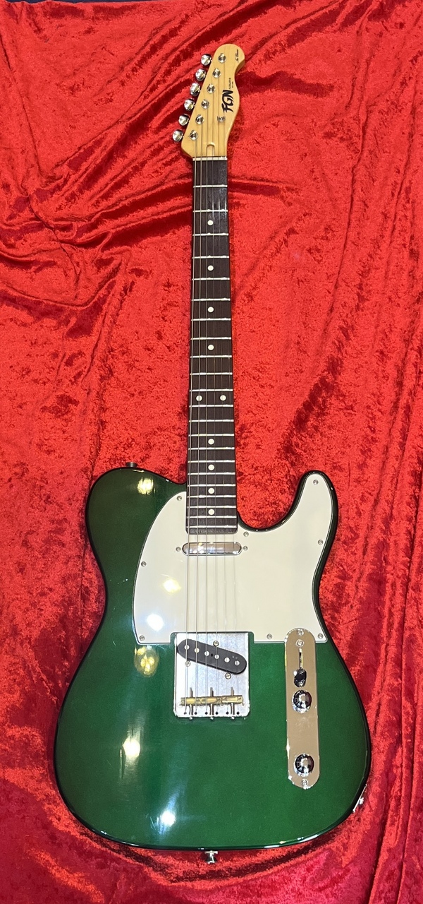 FUJIGEN(FGN) NTL10RAL（中古）【楽器検索デジマート】
