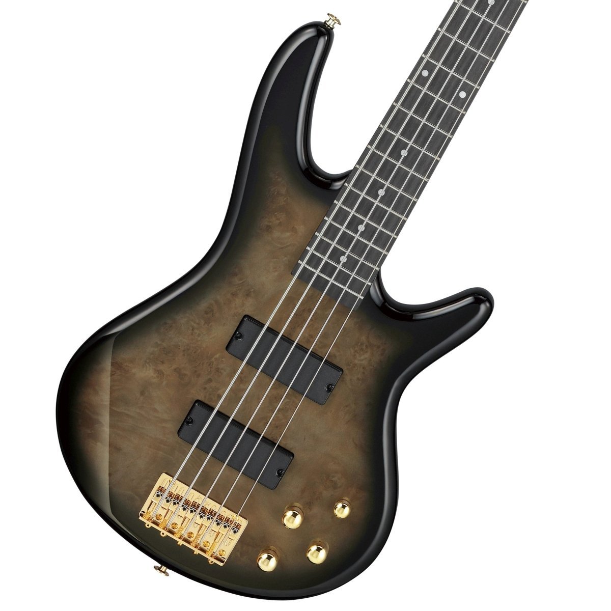 Ibanez Gio GSR205PC-TPB (Transparent Pale Black Burst