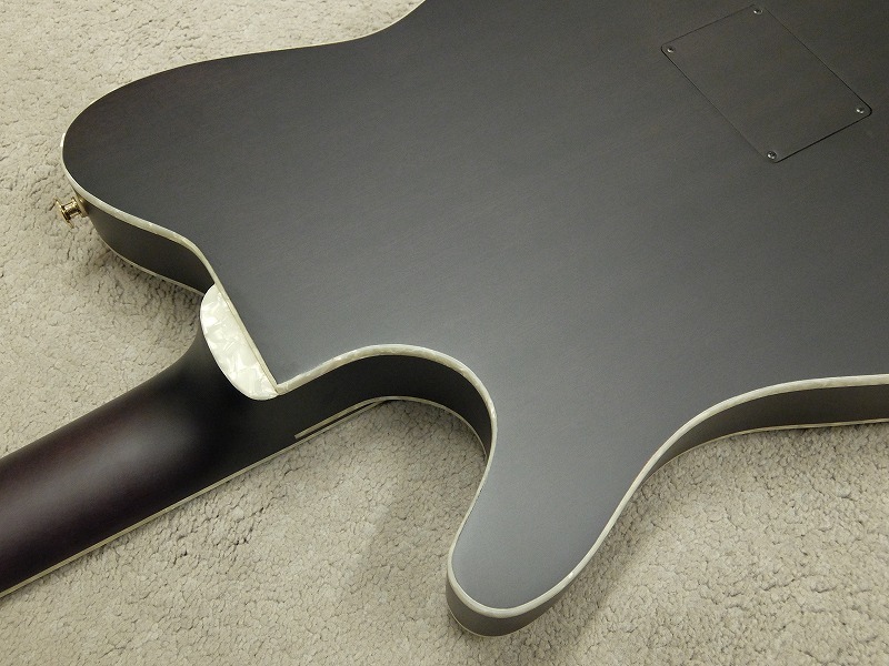 Ibanez 【Polyphia Tim Hensonシグネチャーモデル】TOD10N
