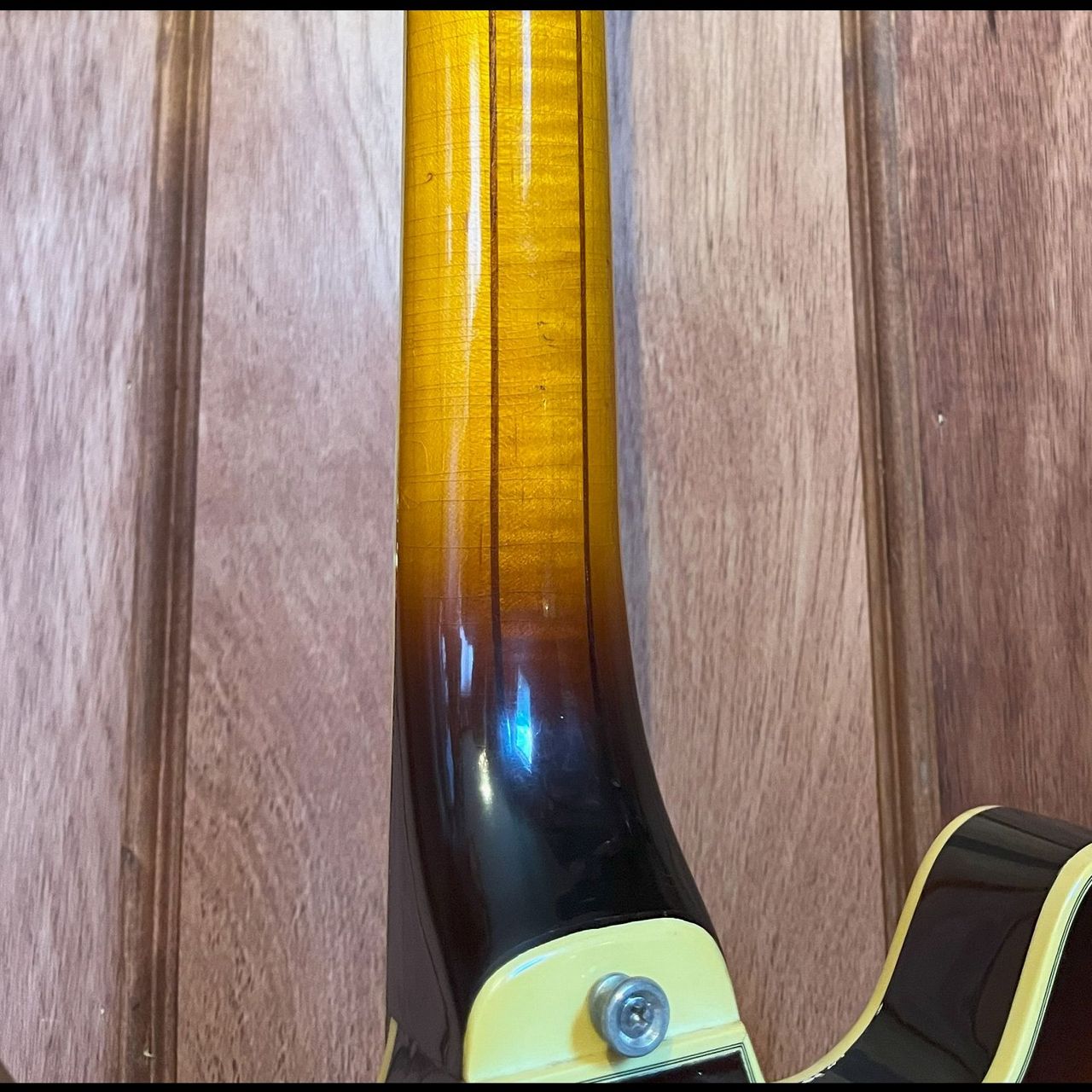 GUILD Starfire Ⅳ（ビンテージ）【楽器検索デジマート】