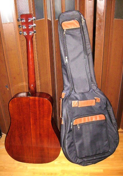 Syaili yd-401 スキャロップ仕様 - 弦楽器、ギター