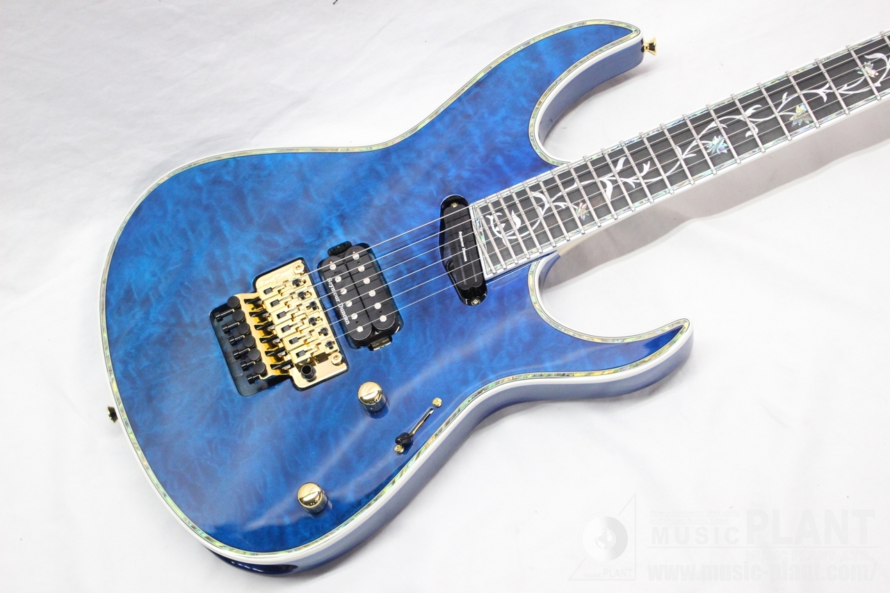 EDWARDS E-CY-CTM DNBL（新品/送料無料）【楽器検索デジマート】