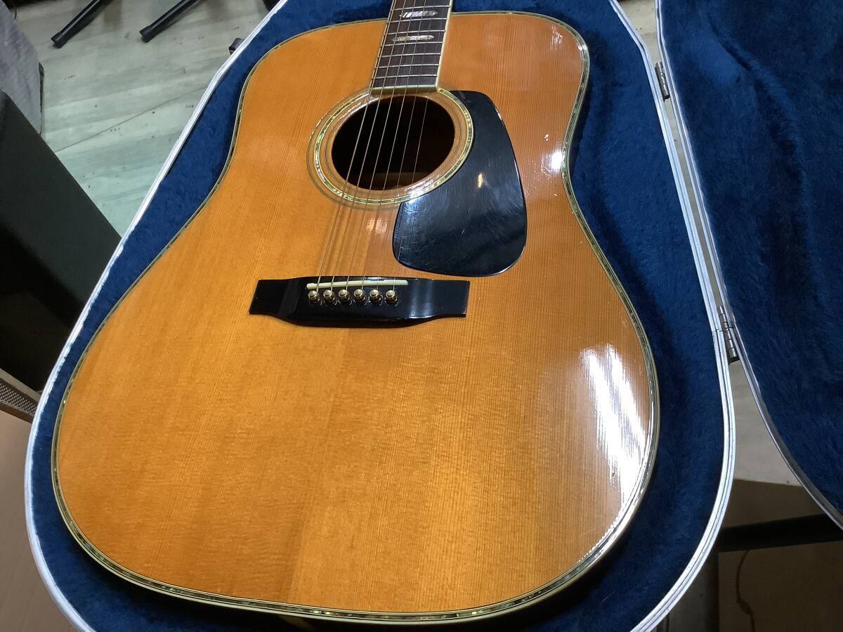 Morris TF-805 モーリス（中古）【楽器検索デジマート】