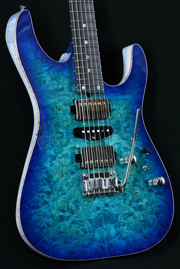 T's Guitars DST-Pro24 Burl Maple Birds Eye Maple Neck ~ Centura