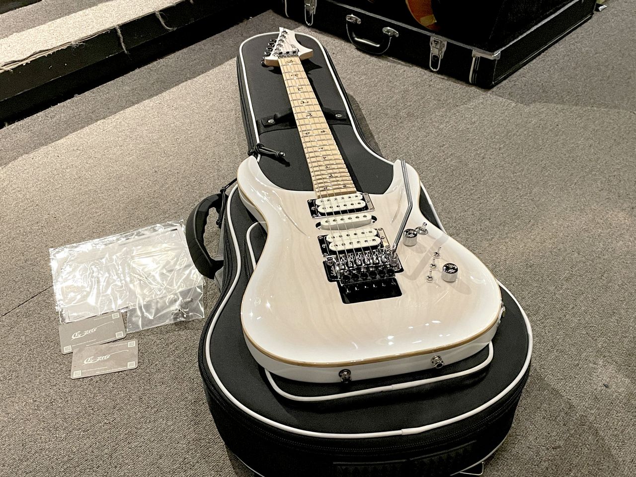 G-Life Guitars DSG Life-Ash Snow White（中古）【楽器検索