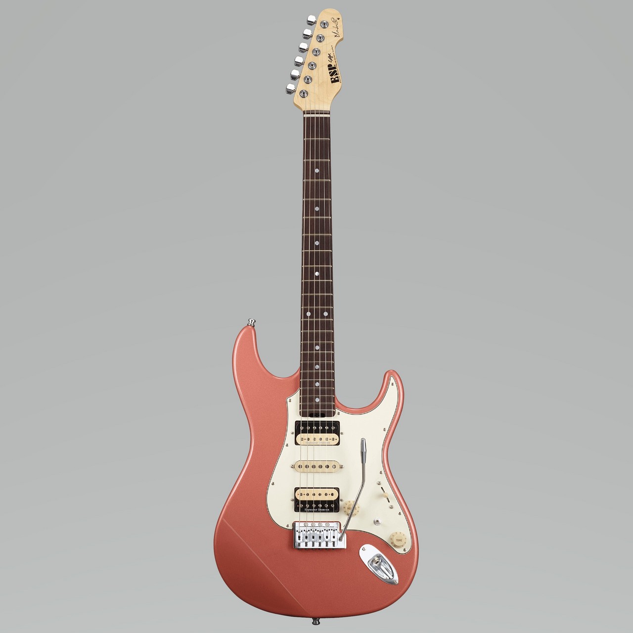 ESP SNAPPER Fujioka Custom / Vintage Burgundy Mist（新品/送料無料