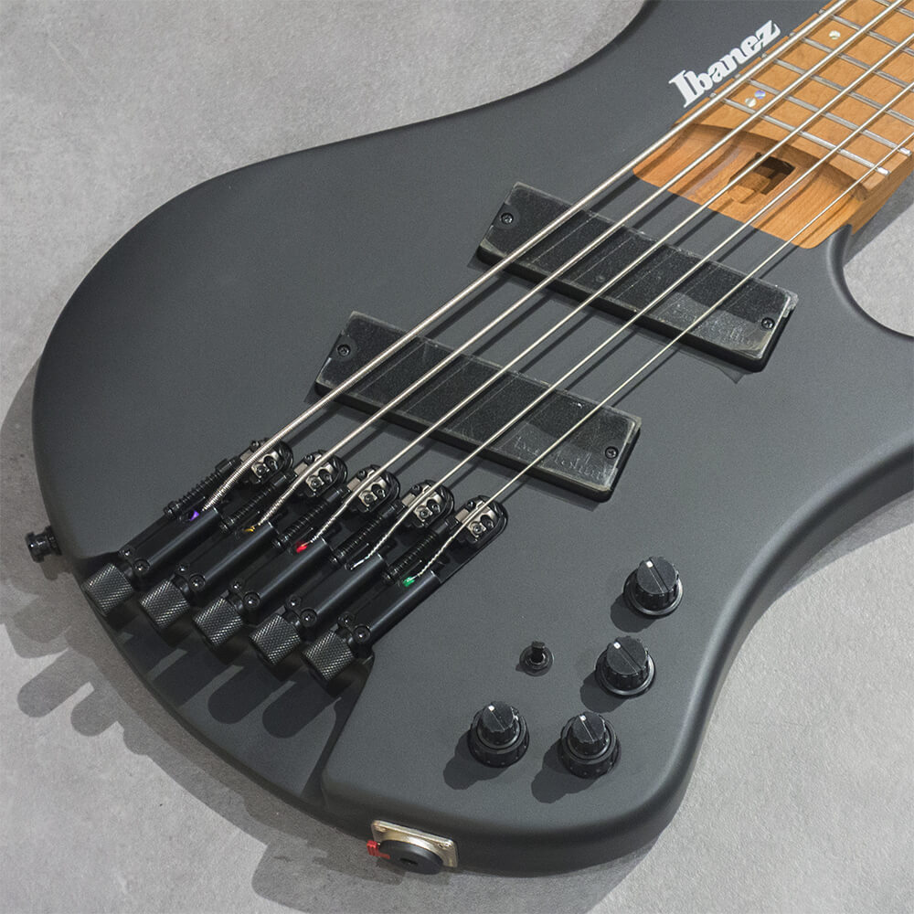 Ibanez EHB Workshop EHB1005MS-BKF【5弦マルチスケール・モデルが33