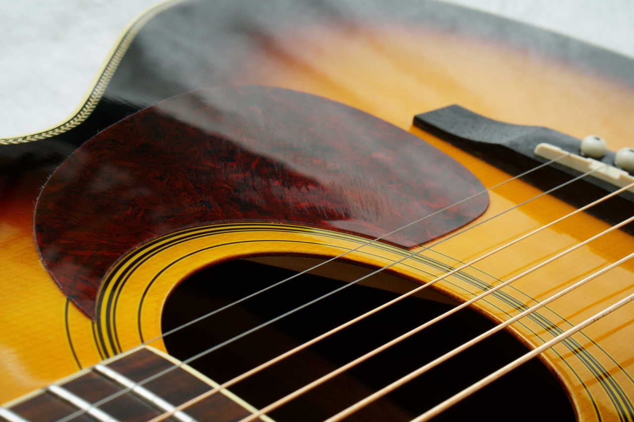 Stafford SF-200F -Brown Sunburst-【USED】（中古）【楽器検索