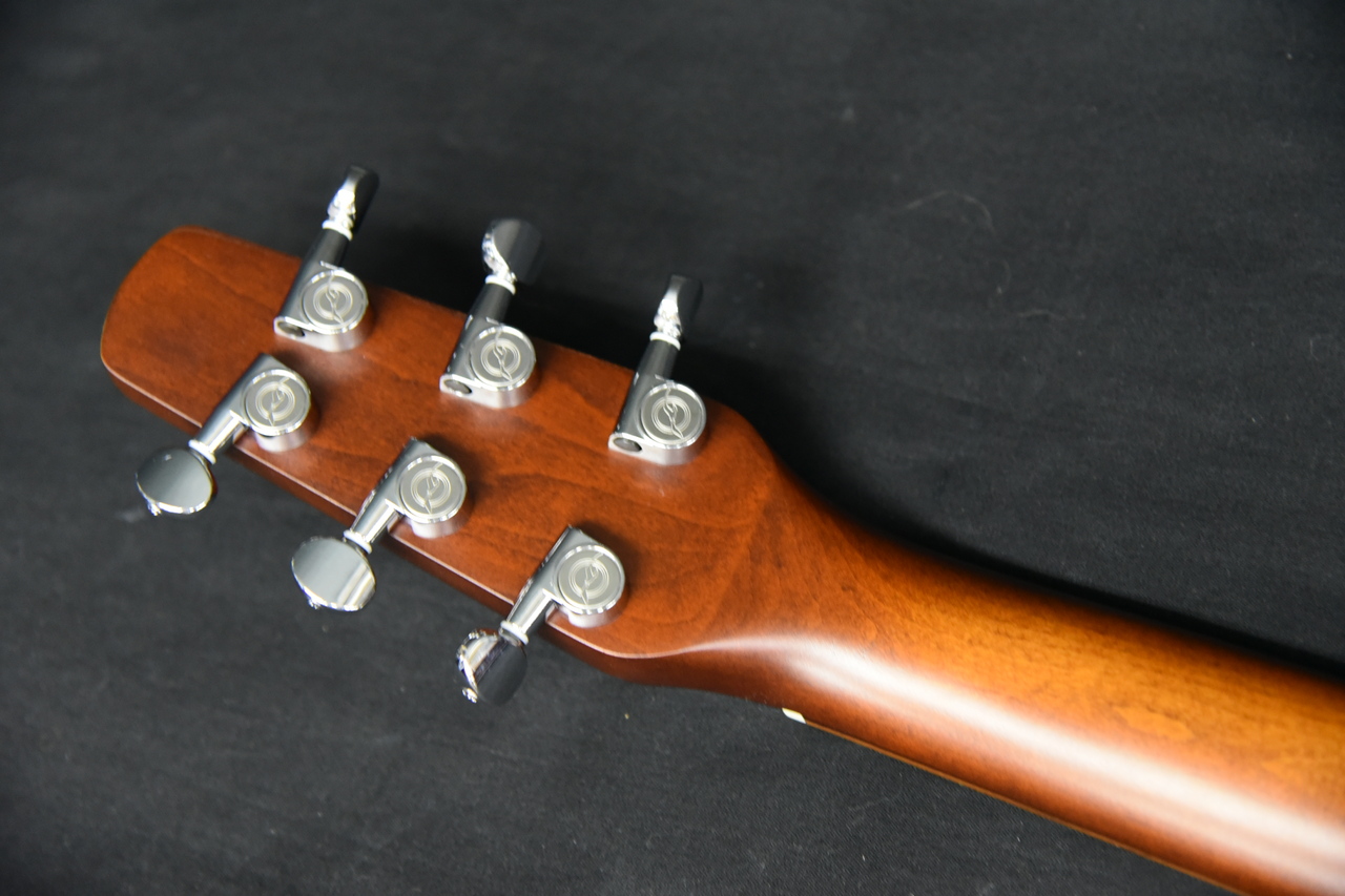 Seagull Entourage Autumn Burst（中古）【楽器検索デジマート】