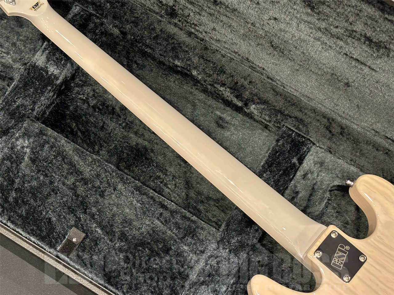 ESP 凛~Lynn~ SID 20th Anniversary Edition 【明希 Signature Model