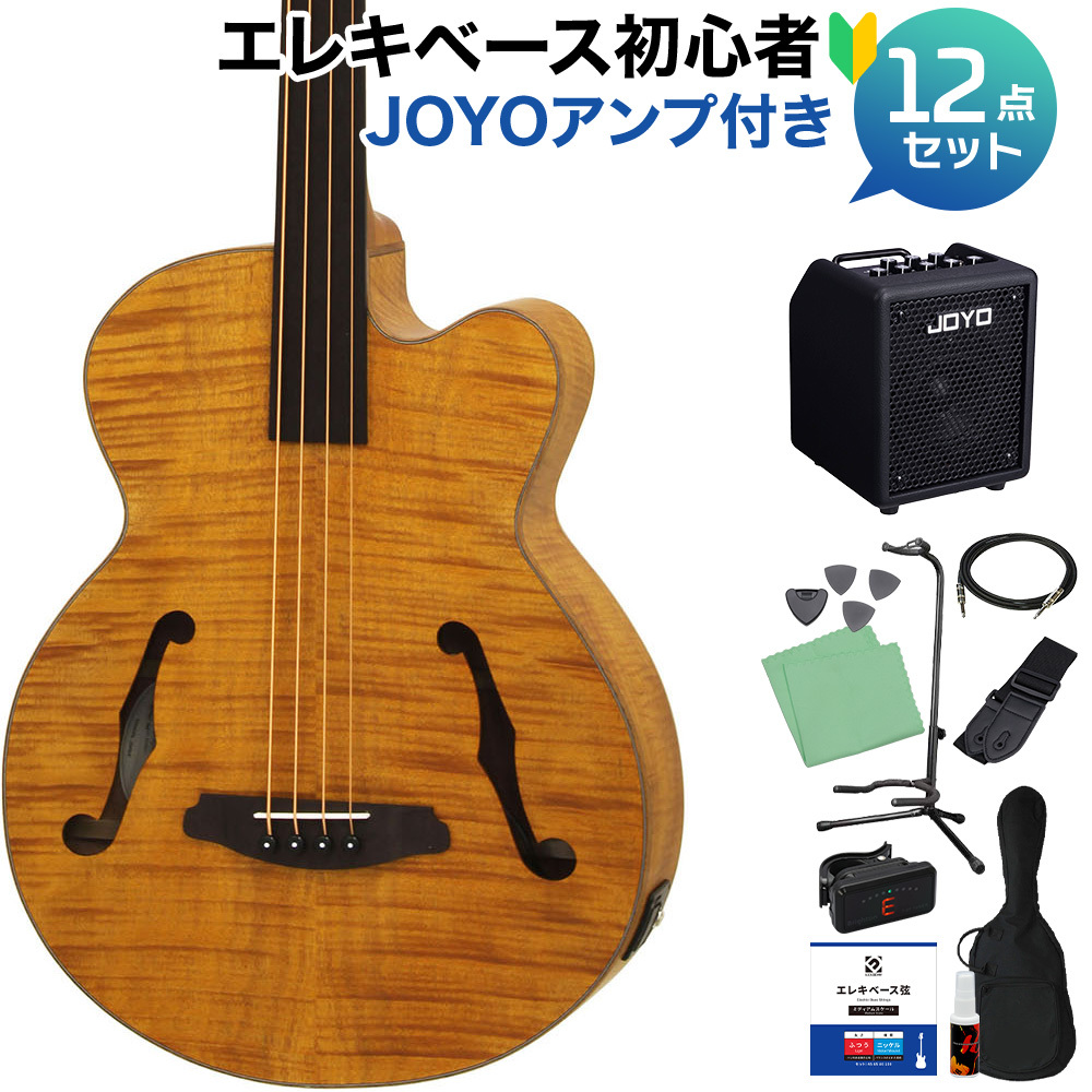 ARIA FEB-F2/FL Stained Brown ベース 初心者12点セット 【JOYOアンプ