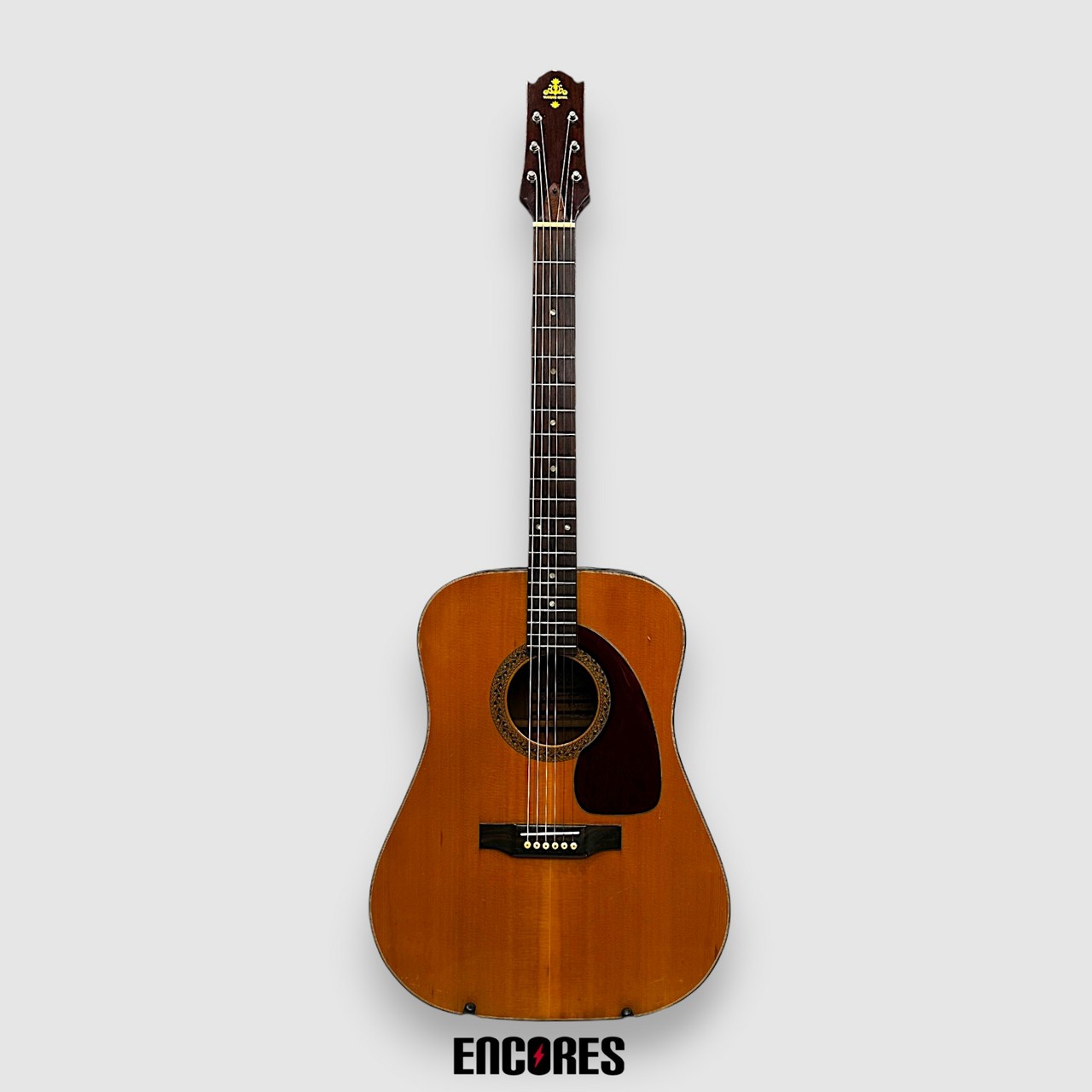 TAKEHARU GUITAR wt-100 ビンテージギター（中古）【楽器検索デジマート】