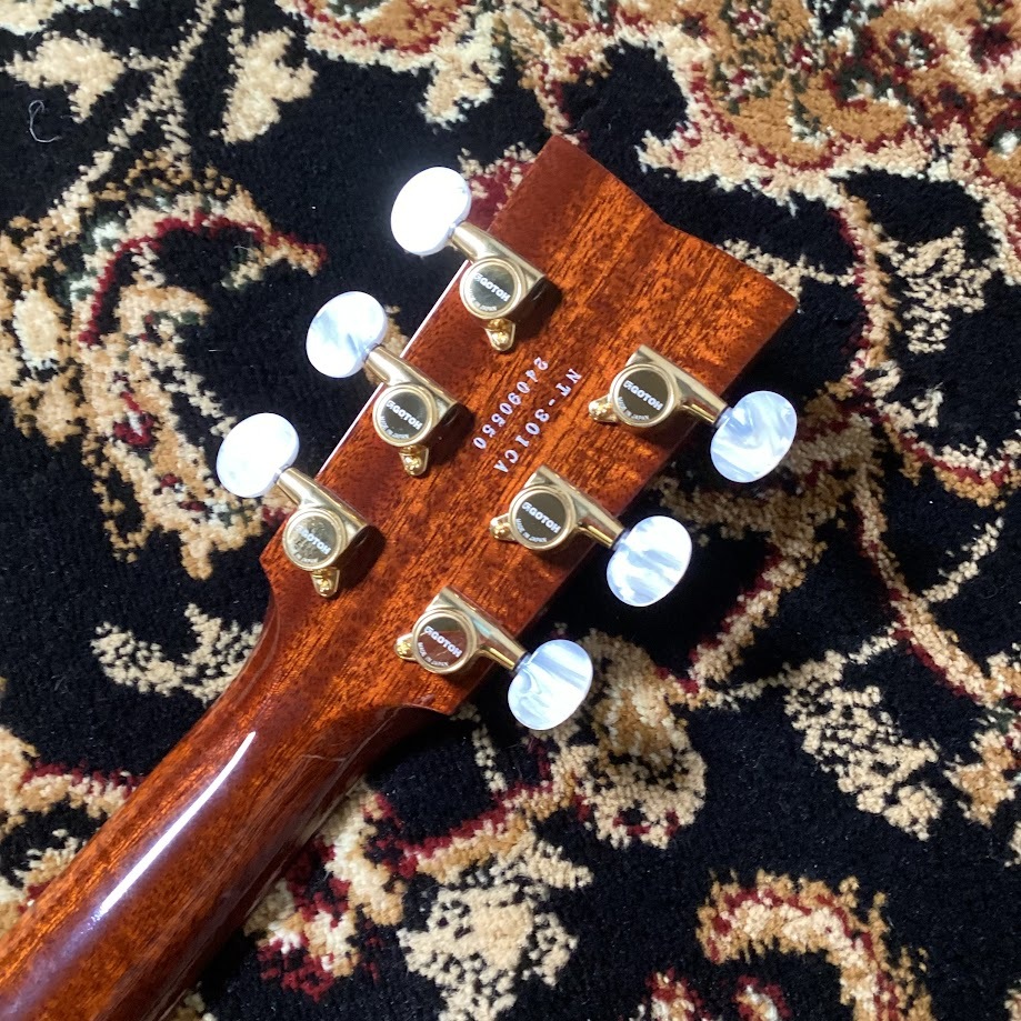 HISTORY NT-301/Ca（新品/送料無料）【楽器検索デジマート】