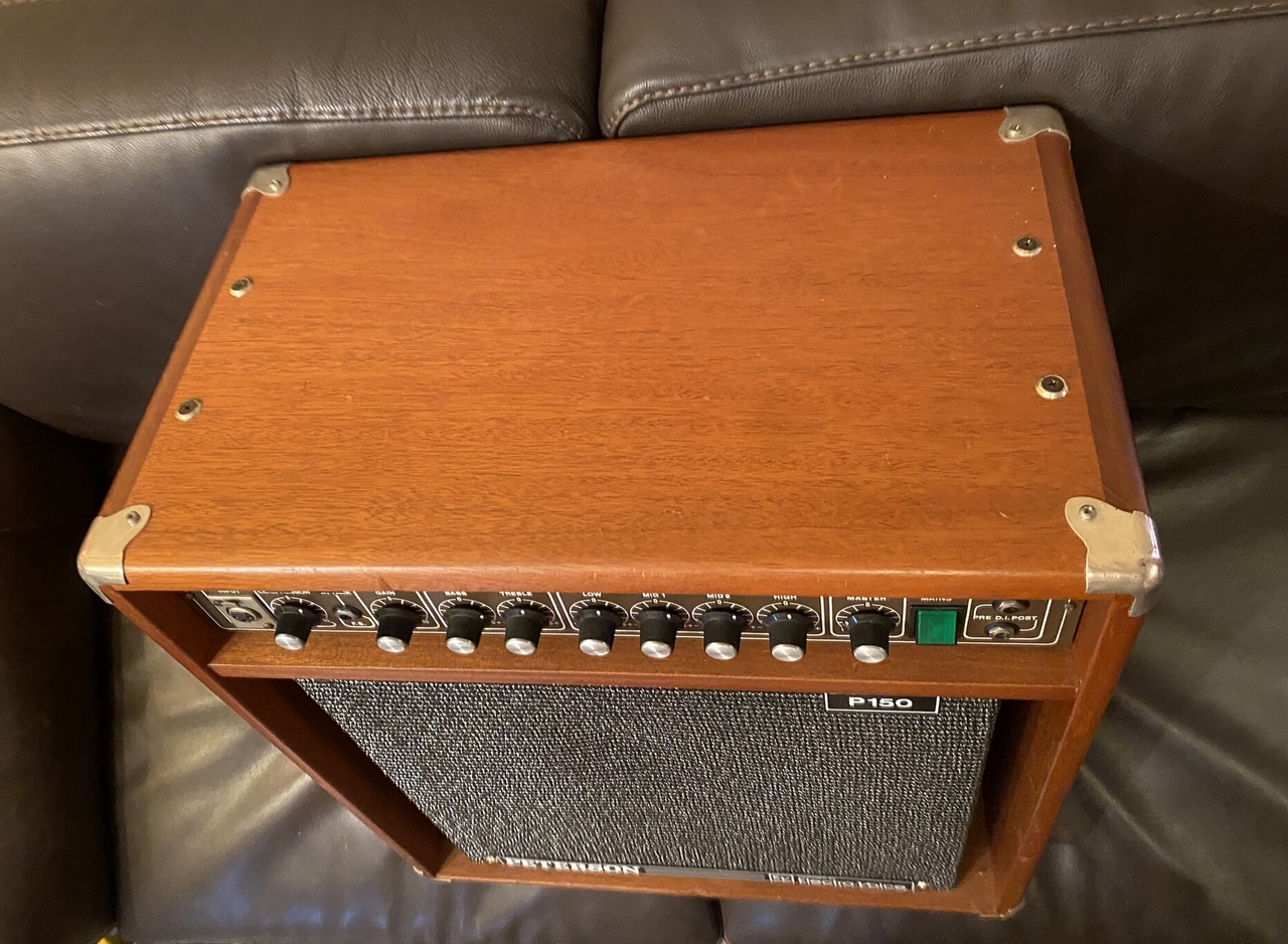 PETERSON Bassmaster P150（中古）【楽器検索デジマート】