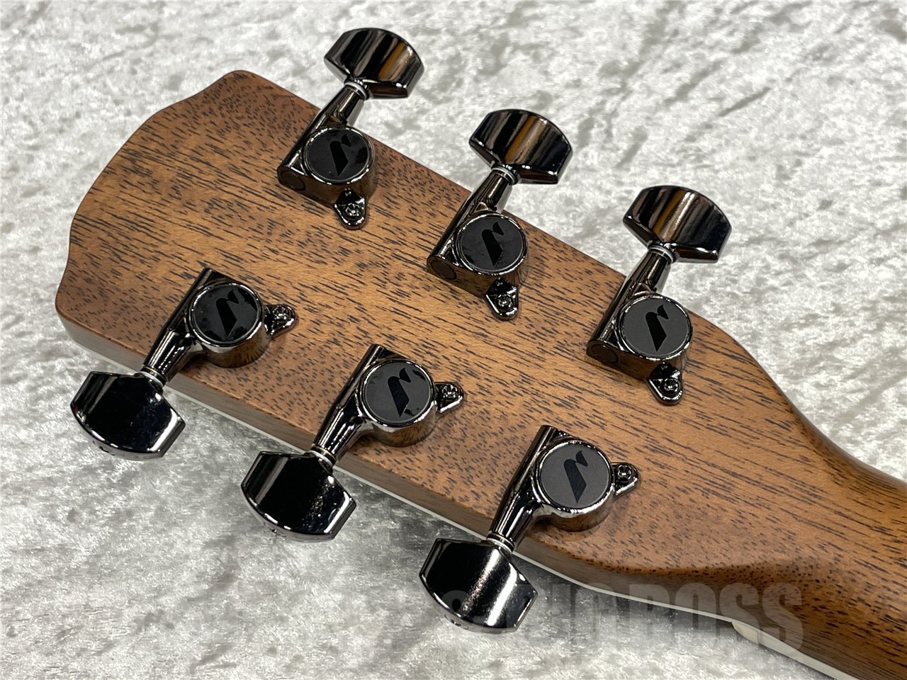 Morris R-14G【Natural】（新品/送料無料）【楽器検索デジマート】