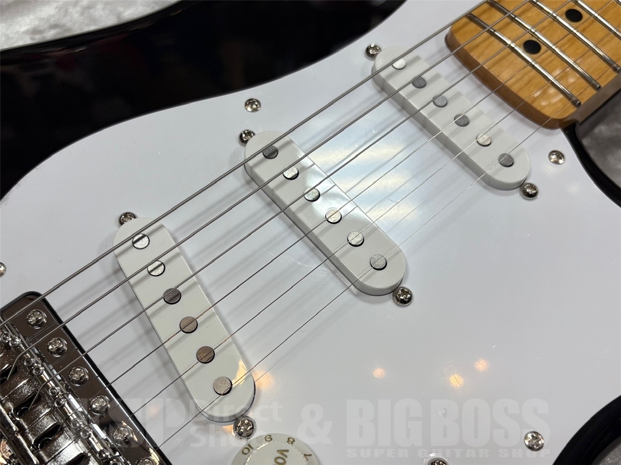 EDWARDS E-ST-ALM【Black】（新品/送料無料）【楽器検索デジマート】