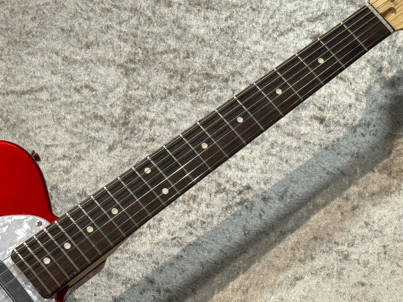 FUJIGEN(FGN) 【オリジナルピックガード仕様!】BCTE100RBD Mod