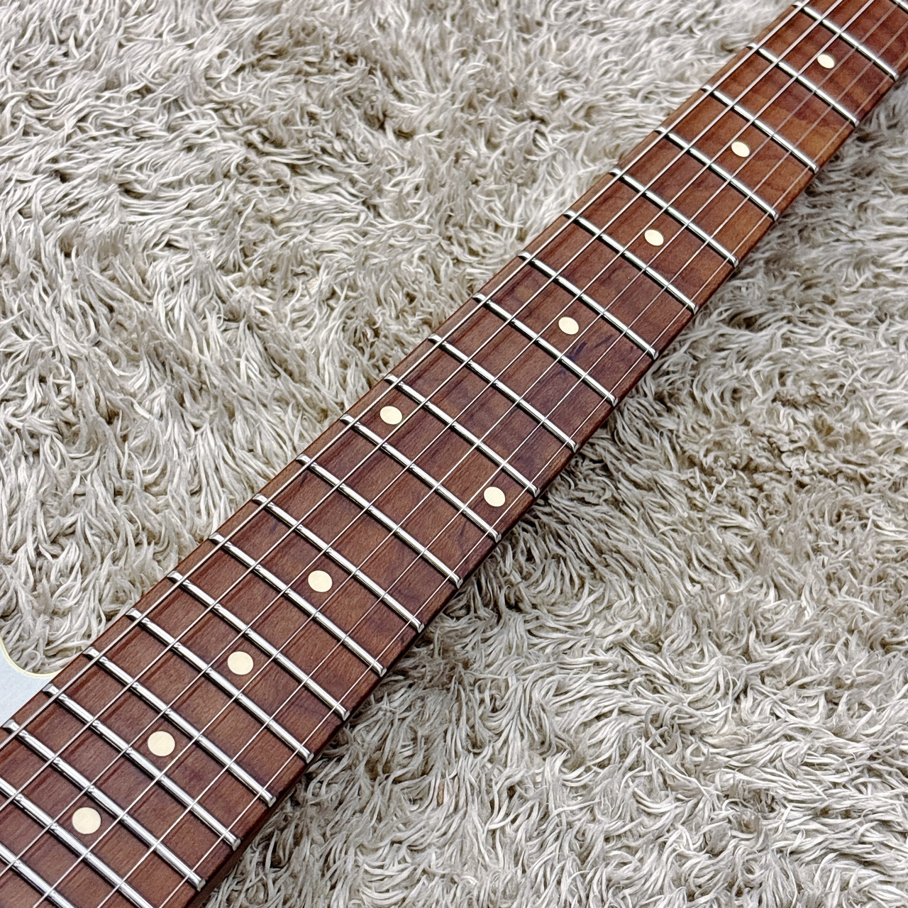 Bacchus TACTICS24-AGED / RSM / SBBD-AGED -Global Series