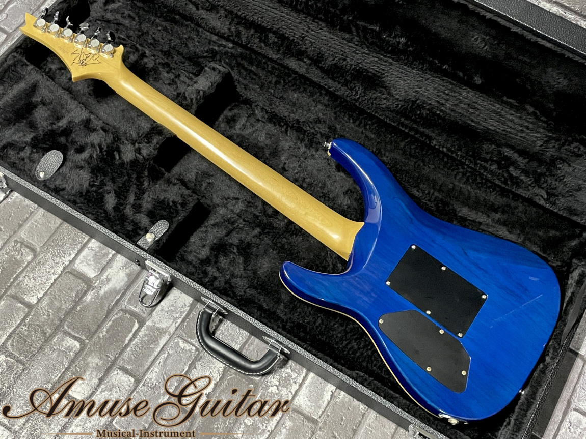 G-Life Guitars DSG Standard # Royal Blue Turquoise 2009年製【Replacement  Seymour Duncan SH-6】w/ESP GIG Case 3.61kg（中古）【楽器検索デジマート】