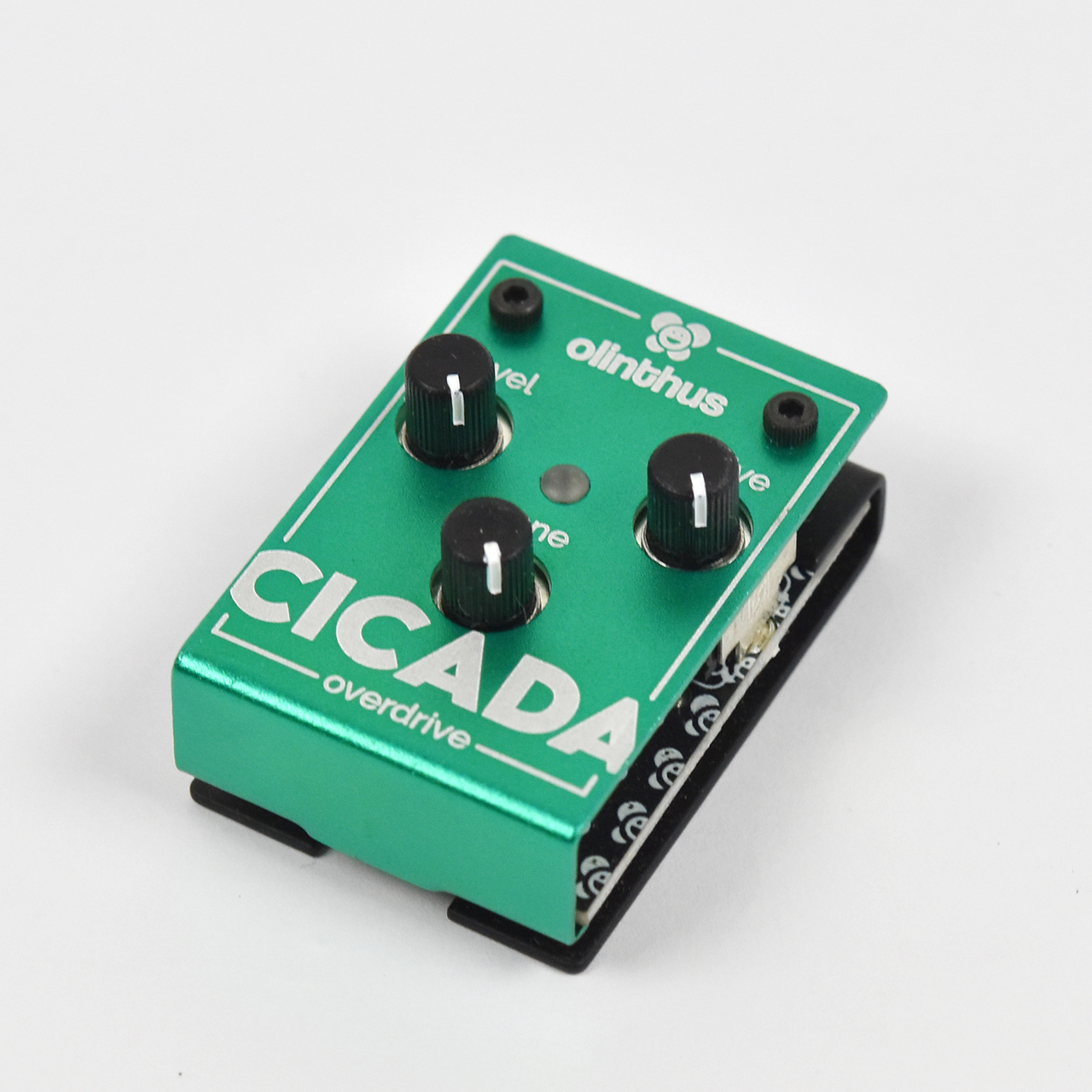 Olinthus CICADA Overdrive（新品）【楽器検索デジマート】