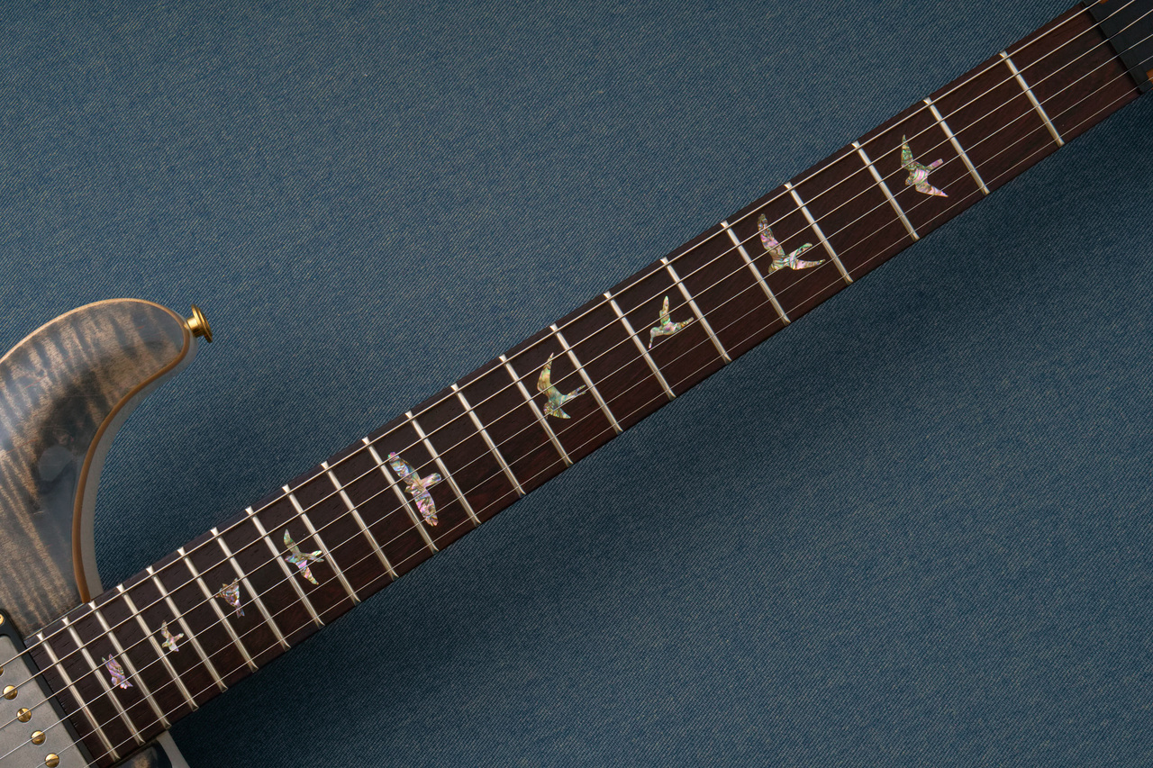 Paul Reed Smith(PRS) Japan Limited Al Di Meola McCarty Brazilian