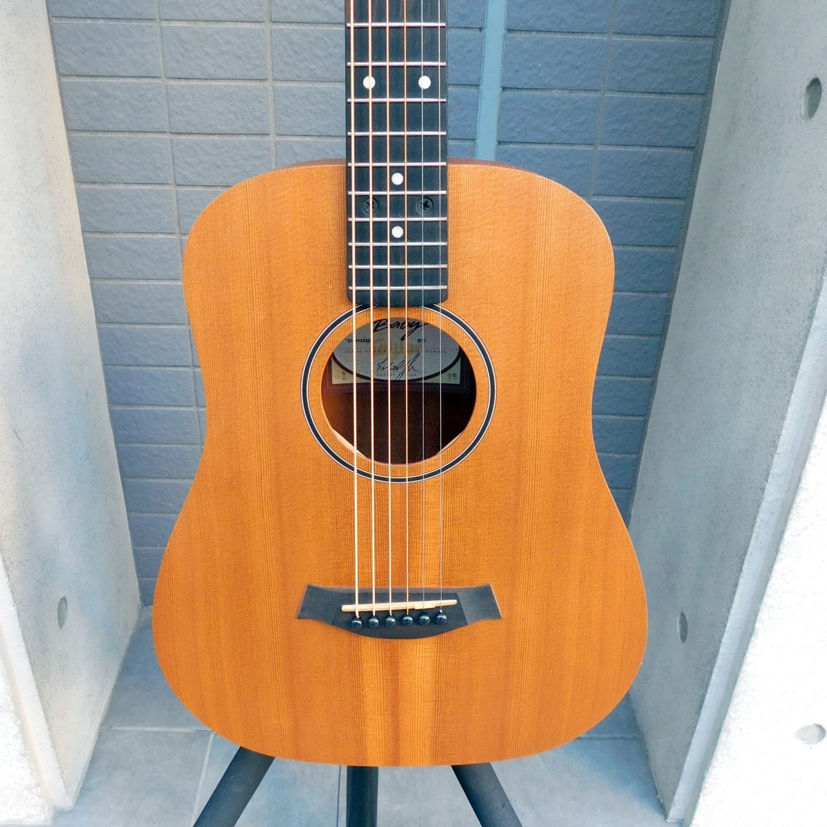 ✨　完全新品未使用　ベイビーテイラー　ギター　BT1 Taylor テイラー Baby Taylor BT1 アコースティックギター ミニ