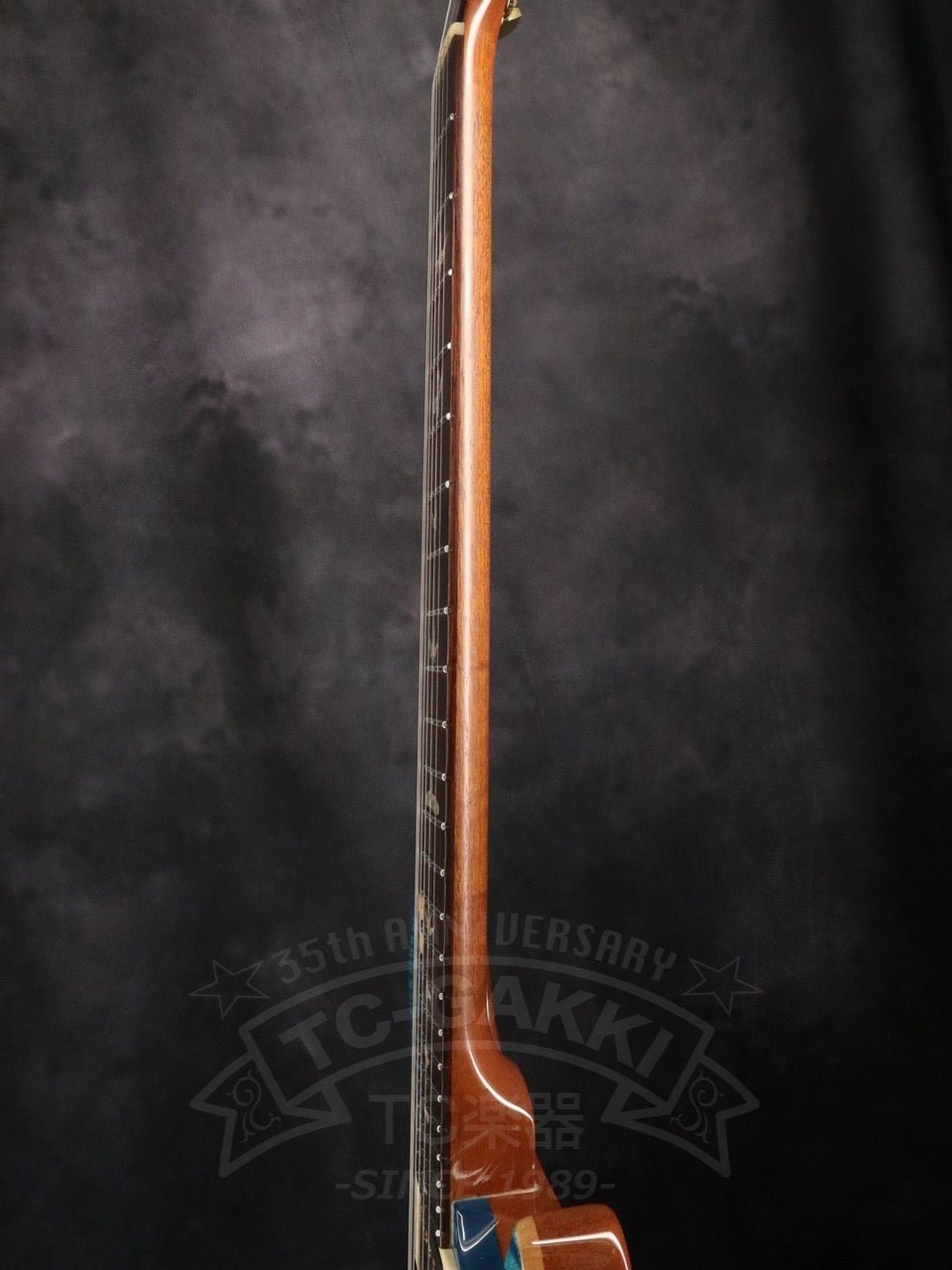 Paul Reed Smith(PRS) Custom 24 Artist Package（中古）【楽器検索