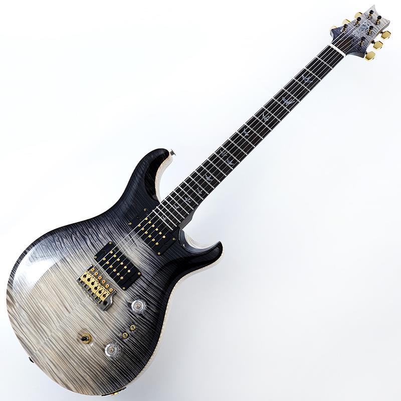Paul Reed Smith(PRS) Private Stock #11986 Custom 24-08 (Frostbite