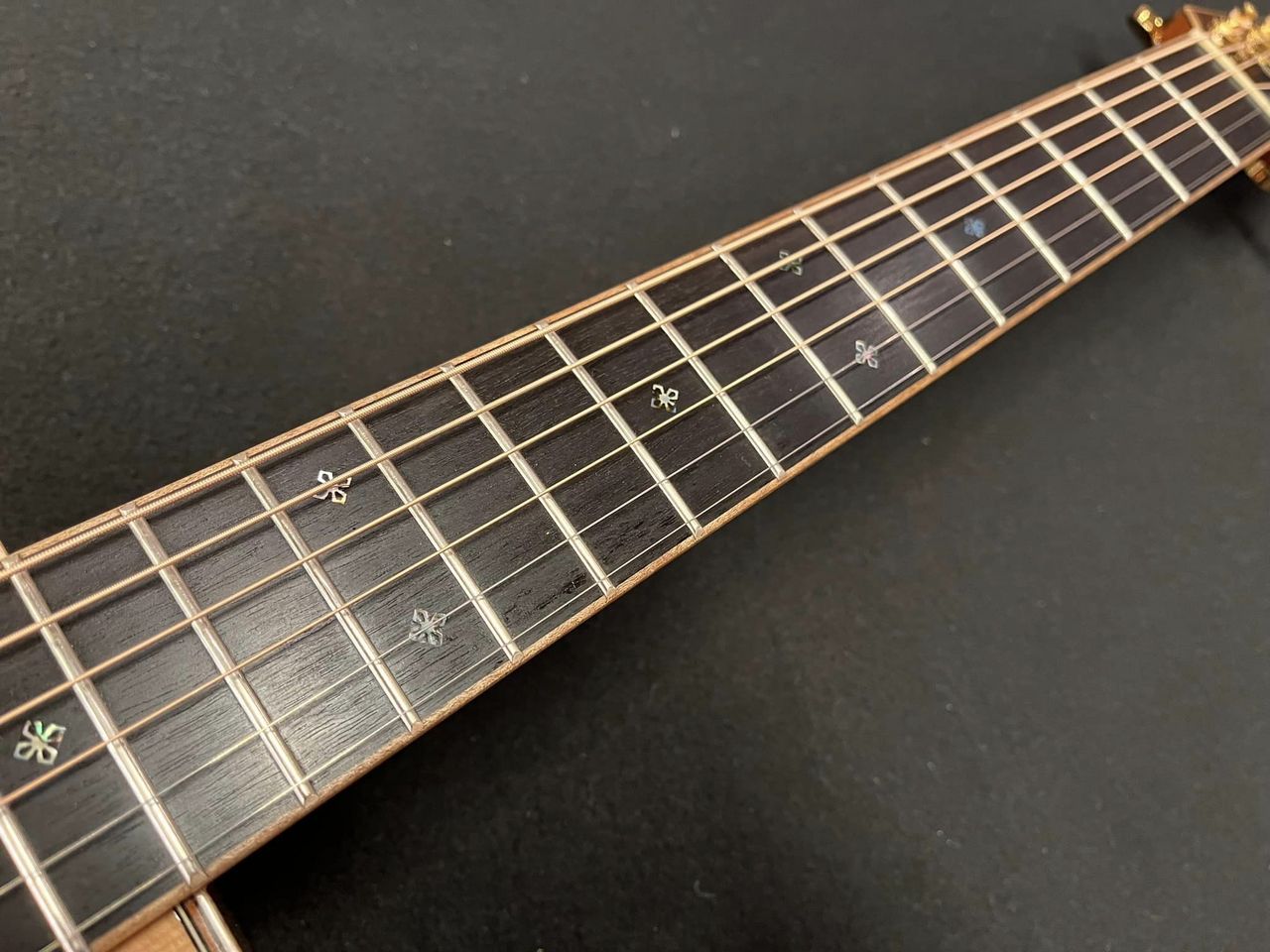 Takamine 2016 Limited Model 「TLD-M2」（中古）［デジマートSALE］【楽器検索デジマート】